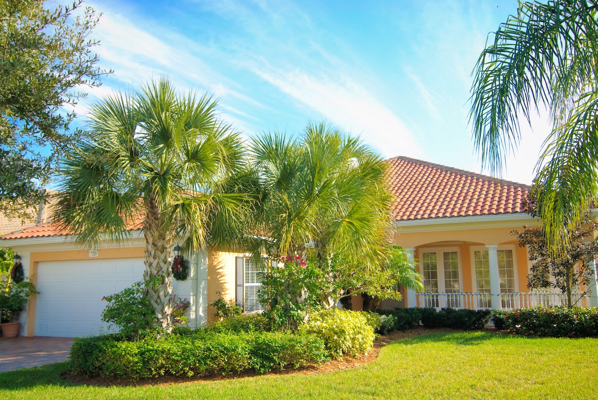 Suburban house with palm trees and a well-maintained garden, red roof tiles, clear blue sky.